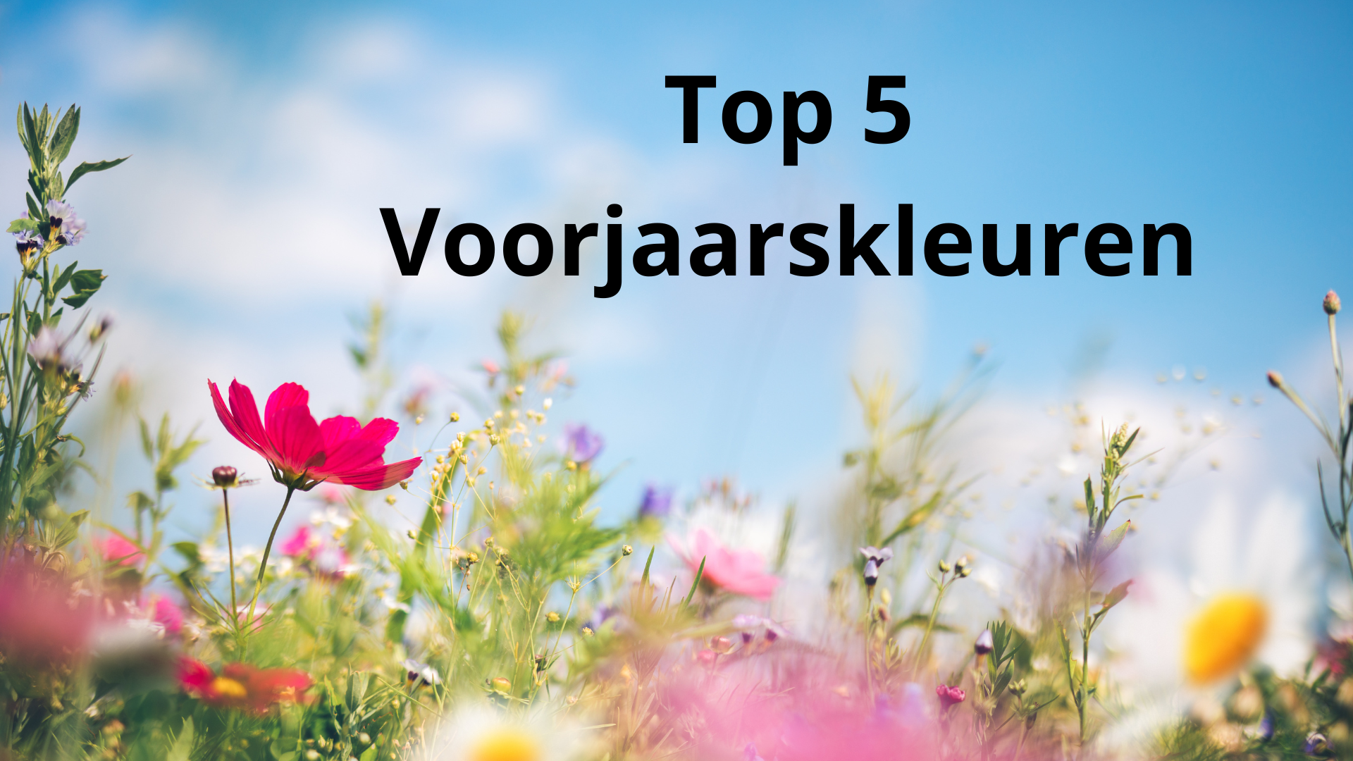 Voorjaarstinten bij SlabEnZo