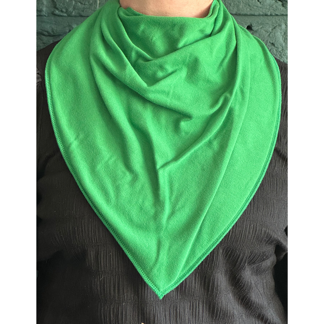 Bandana Bibble  Robin Hood