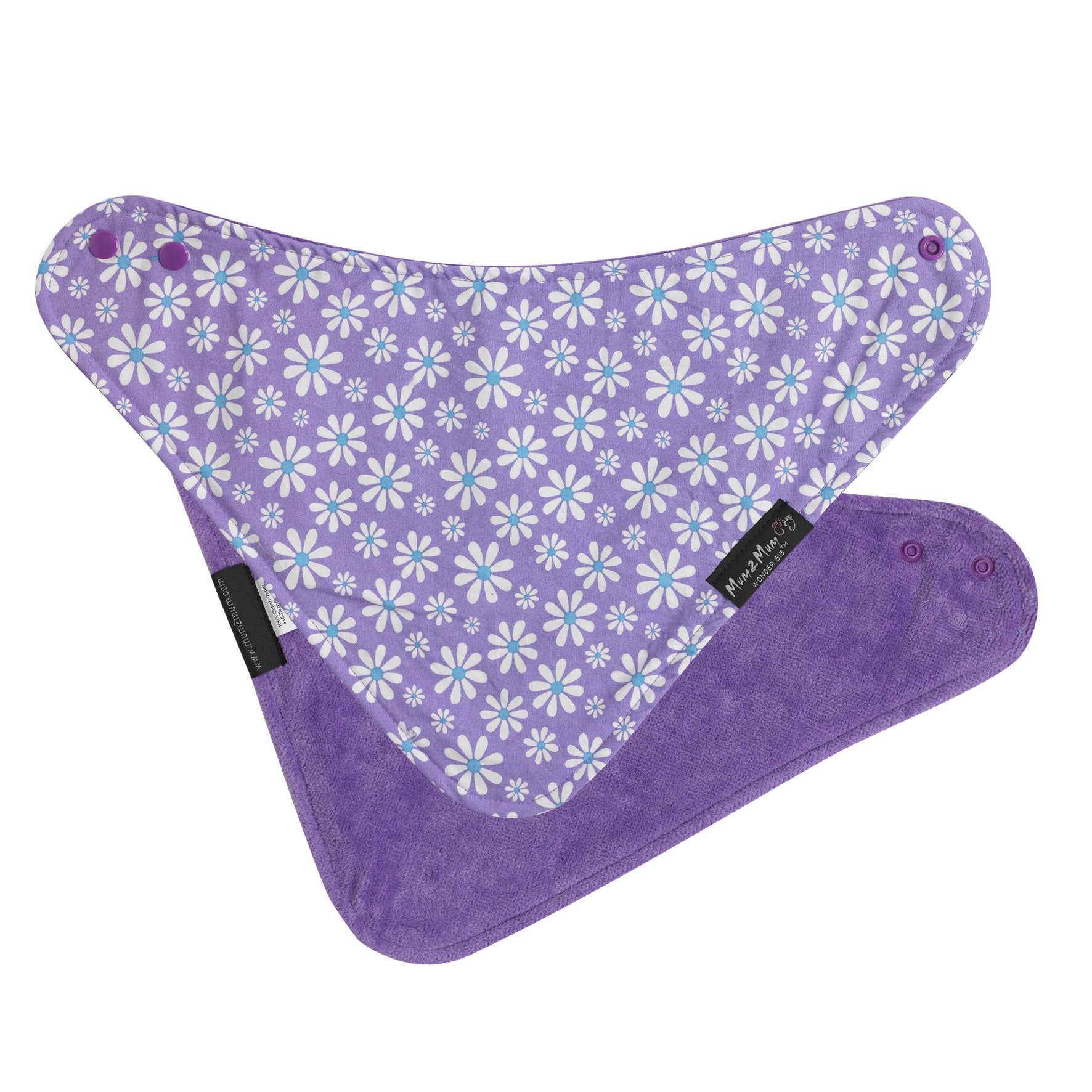 PurpleDaisies-FashionOverlay