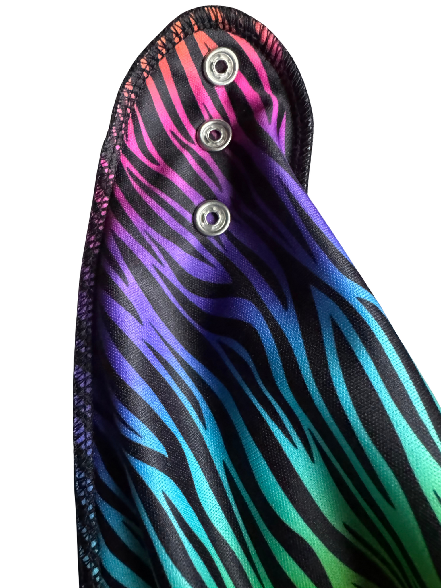 Rainbow Zebra1