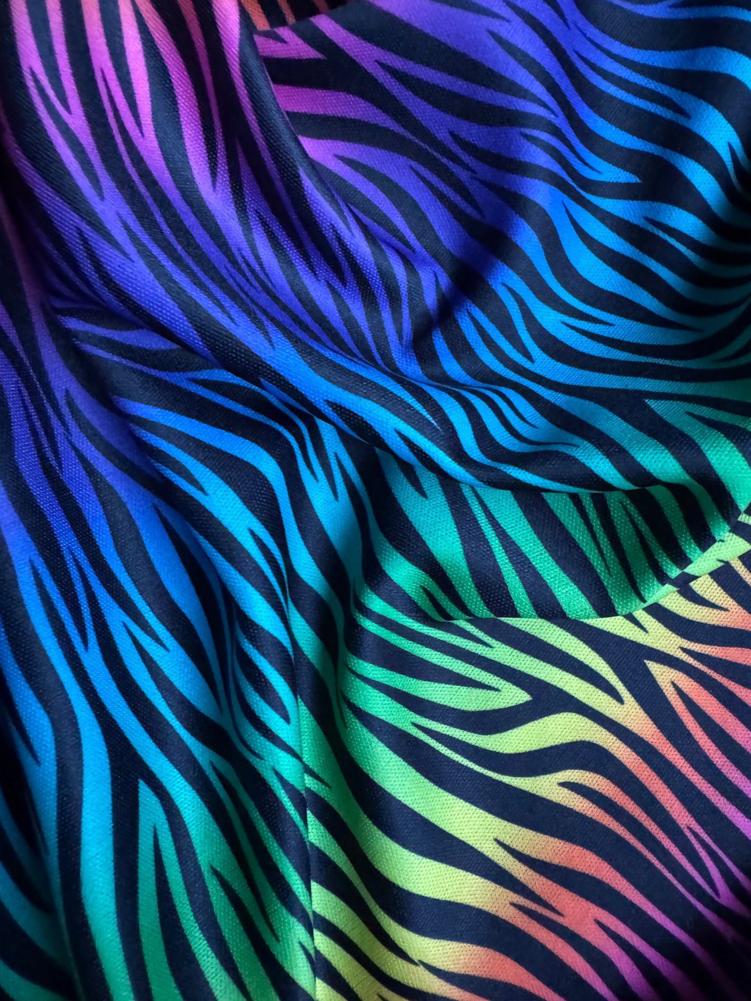 Rainbow Zebra2