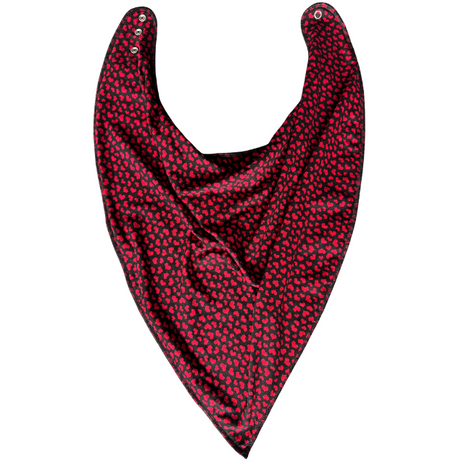 Bandana Bibble  Valentine